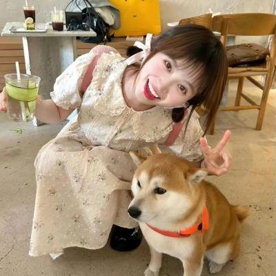 换妻游戏